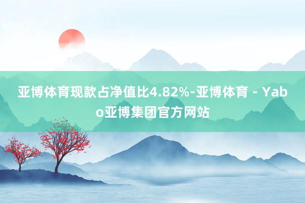亚博体育现款占净值比4.82%-亚博体育 - Yabo亚博集团官方网站