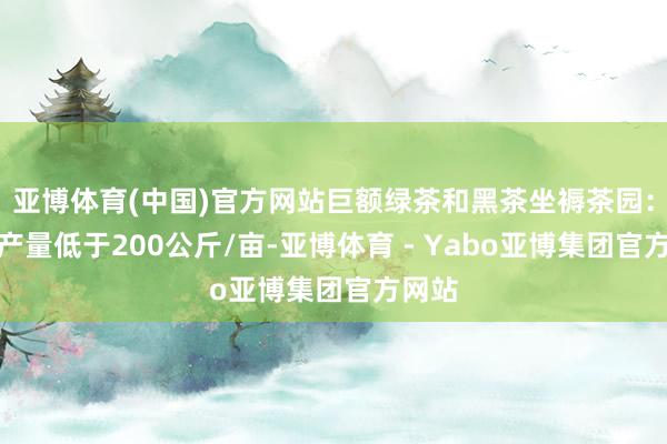亚博体育(中国)官方网站巨额绿茶和黑茶坐褥茶园：干茶产量低于200公斤/亩-亚博体育 - Yabo亚博集团官方网站
