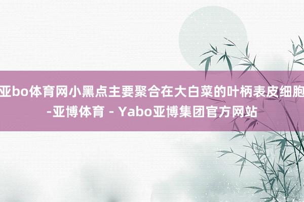 亚bo体育网小黑点主要聚合在大白菜的叶柄表皮细胞-亚博体育 - Yabo亚博集团官方网站